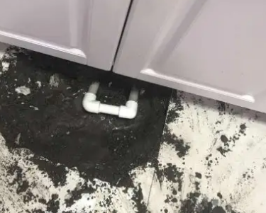 神池查漏水哪家好